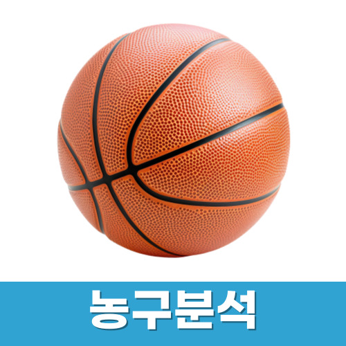 농구분석
