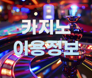 카지노 이용정보