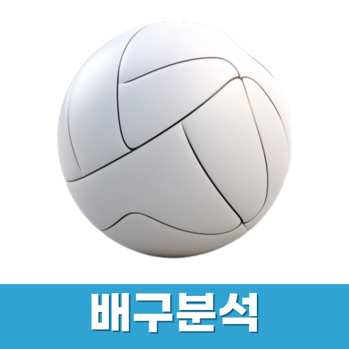 배구분석