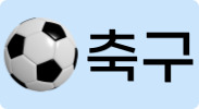 축구
