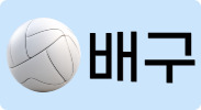 배구